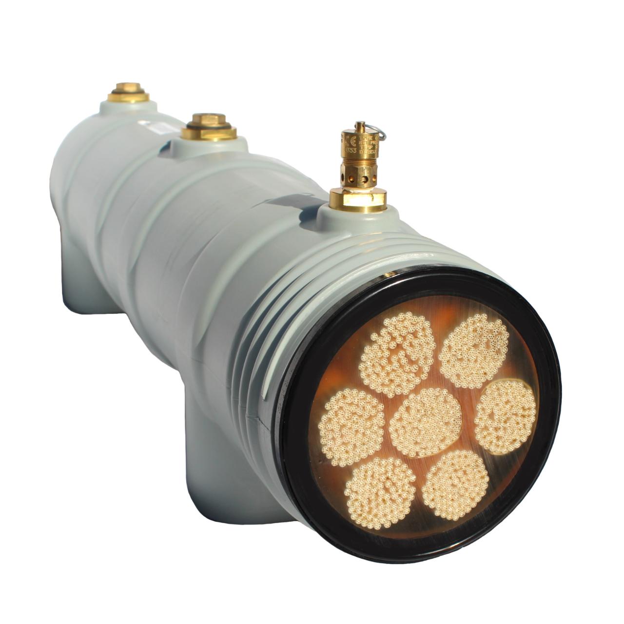 LifeSaver C1 Wasserfiltersystem