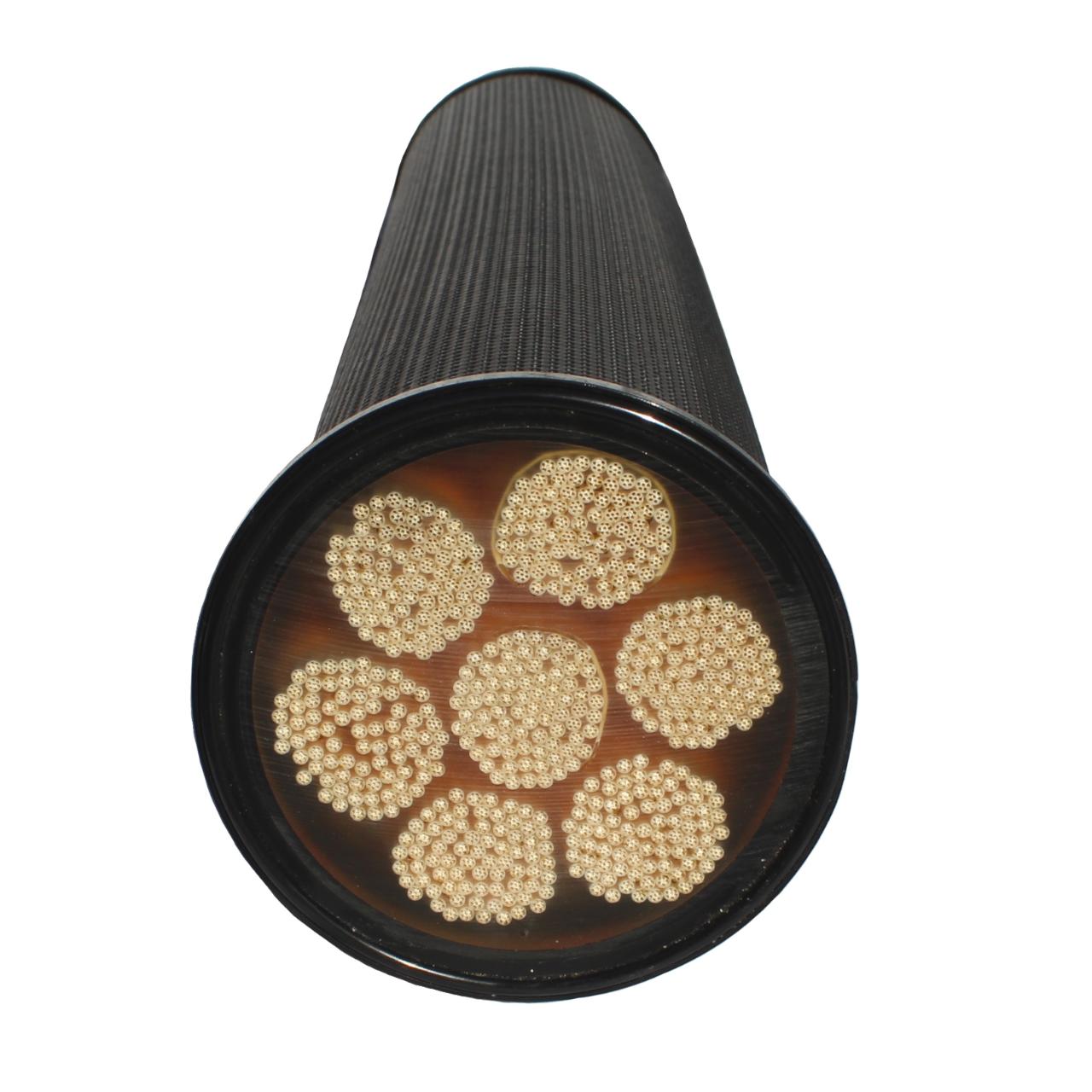 LifeSaver C1 Ersatzfilter Wasserfiltersystem