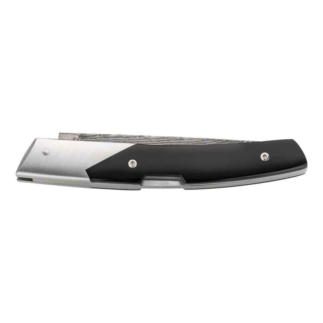 Fontenille Pataud LE THIERS ADVANCE, Horn
