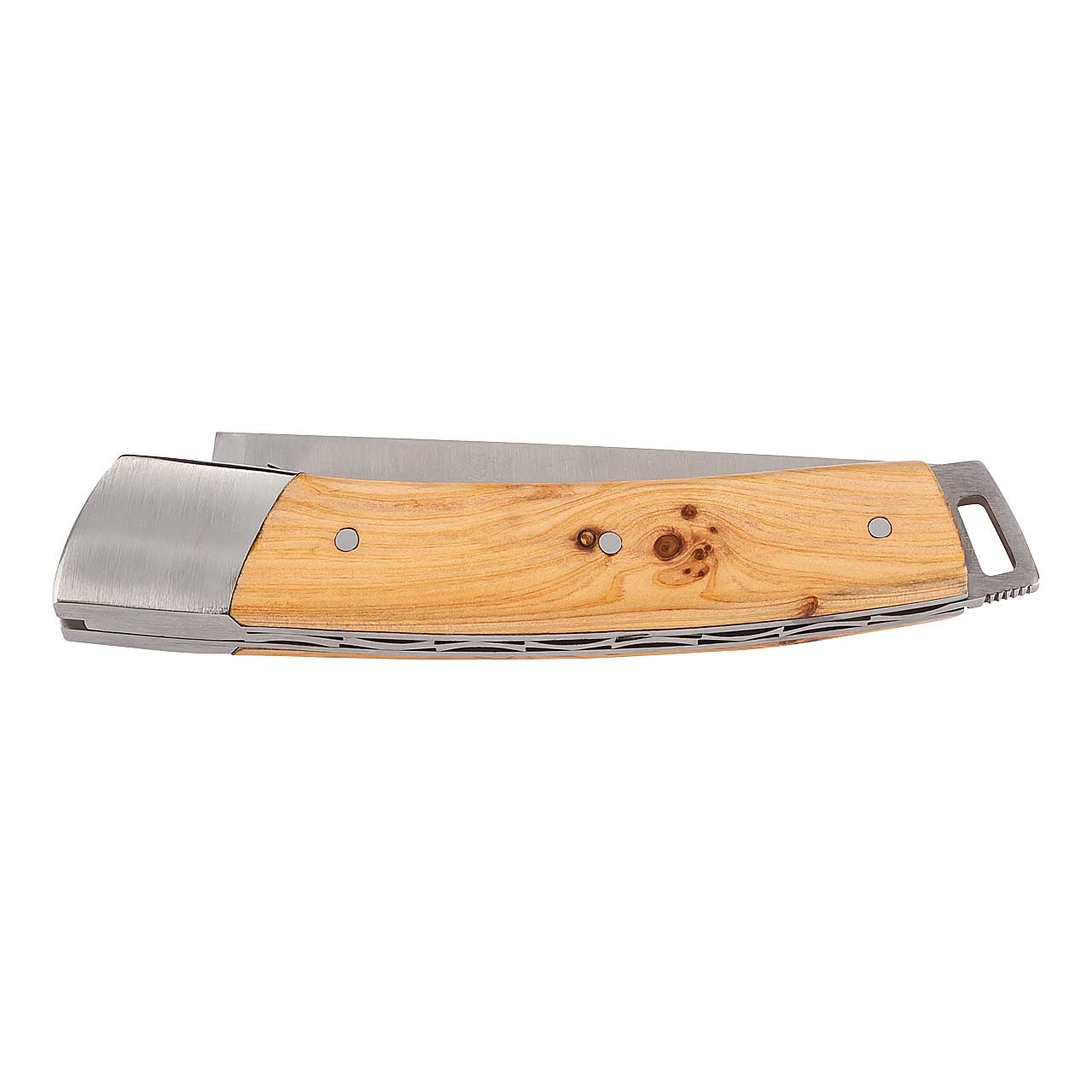 Fontenille Pataud LE THIERS POCKET, Wacholder