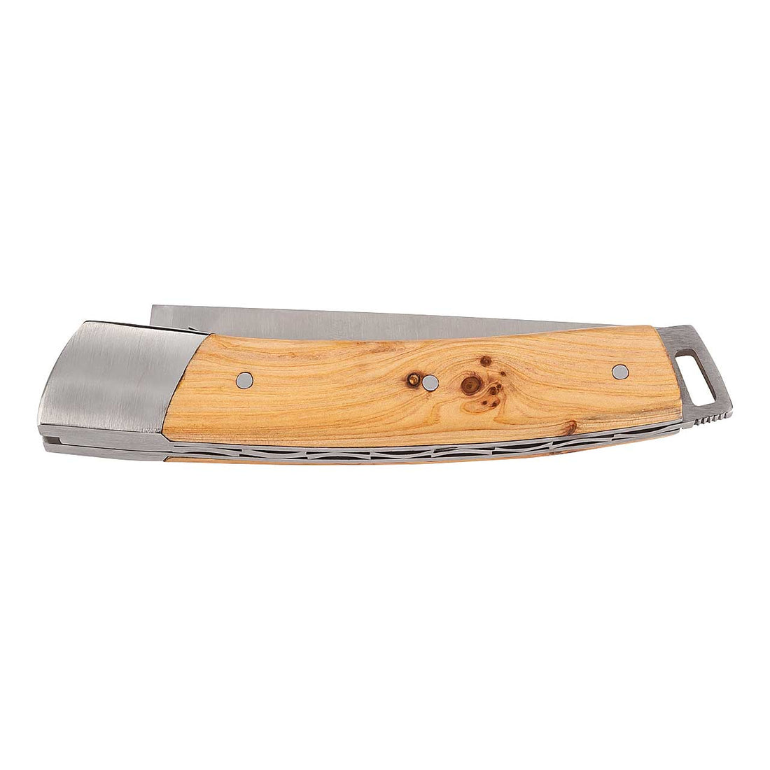 Fontenille Pataud LE THIERS POCKET, Wacholder